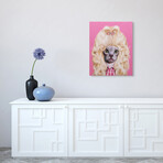 Pets Rock™ Country // Graphic Art on Wrapped Canvas Wall Art