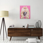 Pets Rock™ Country // Graphic Art on Wrapped Canvas Wall Art