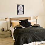 Pets Rock™ Diamonds // Graphic Art on Wrapped Canvas Wall Art