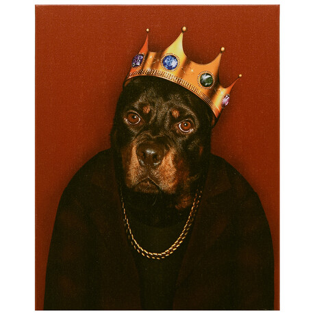 Pets Rock™ Big Doggie // Graphic Art on Wrapped Canvas Wall Art