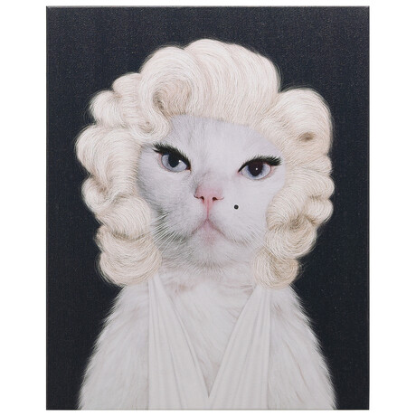 Pets Rock™ Diamonds // Graphic Art on Wrapped Canvas Wall Art