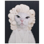 Pets Rock™ Diamonds // Graphic Art on Wrapped Canvas Wall Art