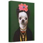 Pets Rock™ Mexico // Graphic Art on Wrapped Canvas Wall Art