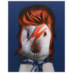 Pets Rock™ Glam Rock // Graphic Art on Wrapped Canvas Wall Art