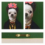 Pets Rock™ Mexico // Graphic Art on Wrapped Canvas Wall Art