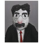 Pets Rock™ Vaudeville // Graphic Art on Wrapped Canvas Wall Art