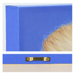 Stable Genius // Graphic Art Print on Wrapped Canvas Wall Art