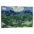 Olive Trees with the Alpilles in the Background by Vincent van Gogh (18"H x 26"W x 0.75"D)