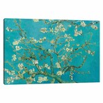 Almond Blossom, 1890 by Vincent van Gogh (18"H x 26"W x 0.75"D)