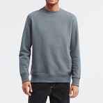 Comfort Fit Sweatshirt // Grey (M)