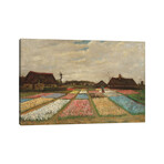 Tulpenfelder (Tulip Fields) by Vincent van Gogh (18"H x 26"W x 0.75"D)