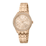 Ferre Milano Ladies Classic Quartz // FM1L116M0261