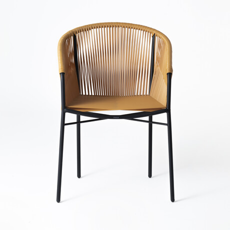 Anais Dining Chair (Olivo)