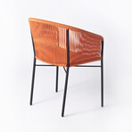 Anais Dining Chair (Olivo)