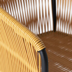 Anais Dining Chair (Olivo)