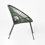 Ixtapa Lounge Chair (Bosque)