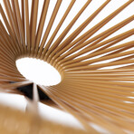 Sayulita Lounge Chair (Olivo)