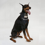 Pet Bandana Set Of 2 // Classic (Small)