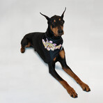 Pet Bandana Set Of 2 // Classic (Small)