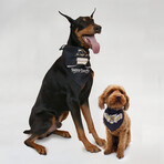 Pet Bandana Set Of 2 // Classic (Small)