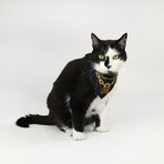 Deluxe Pet Bandana Set Of 2 // Halftime & Off The Chain (XS)