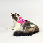 Deluxe Pet Bandana Set Of 2 // Boss Lady & Mic Drop (XS)
