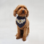 Pet Bandana Set Of 2 // Classic (Small)