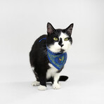 Deluxe Pet Bandana Set Of 2 // Halftime & Off The Chain (XS)