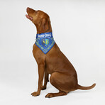 Deluxe Pet Bandana Set Of 2 // Halftime & Off The Chain (XS)