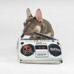 Deluxe Boom Box Pet Toy