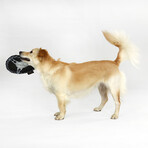 Deluxe Chain Steering Wheel Pet Toy