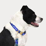 Deluxe Pet Collar // Halftime (Small)