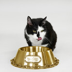 Deluxe // Off The Chain Pet Bowl (Large)