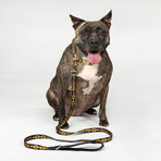 Deluxe Pet Lead // Off The Chain (3/4 INCH)