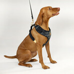 Deluxe Quilted Pet Harness // Classic (XS)