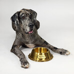 Deluxe // Off The Chain Pet Bowl (Large)