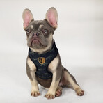 Deluxe Quilted Pet Harness // Classic (XS)