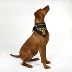 Deluxe Pet Bandana Set Of 2 // Halftime & Off The Chain (XS)