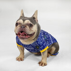 Deluxe Pet Pjs // Halftime (XS)