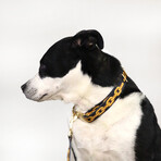 Deluxe Pet Collar // Off The Chain (Small)