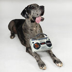 Deluxe Boom Box Pet Toy
