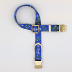 Deluxe Pet Collar // Halftime (Small)