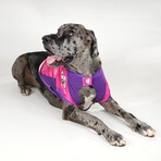 Deluxe Big Pet Jersey // Boss Lady (Big Dog)