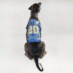 Deluxe Big Pet // Jersey Halftime (Big Dog)