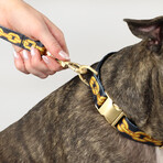 Deluxe Pet Lead // Off The Chain (3/4 INCH)
