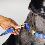 Deluxe Pet Lead // Halftime (3/4 INCH)