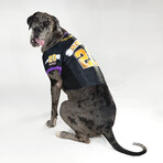 Deluxe Big Pet Jersey // Off The Chain (Big Dog)