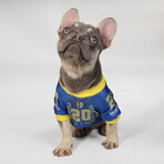 Deluxe Pet Jersey // Halftime (XS)
