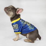 Deluxe Pet Jersey // Halftime (XS)