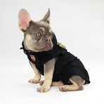 Deluxe Pet Hoodie // Off The Chain (XS)